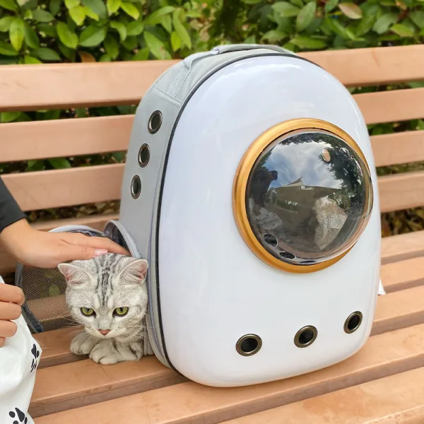 O1CN01ljBdyO1edxiHw1pC6_!!2219366683895-0-cib